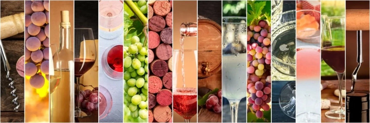 Adega Climatizada Vinhos