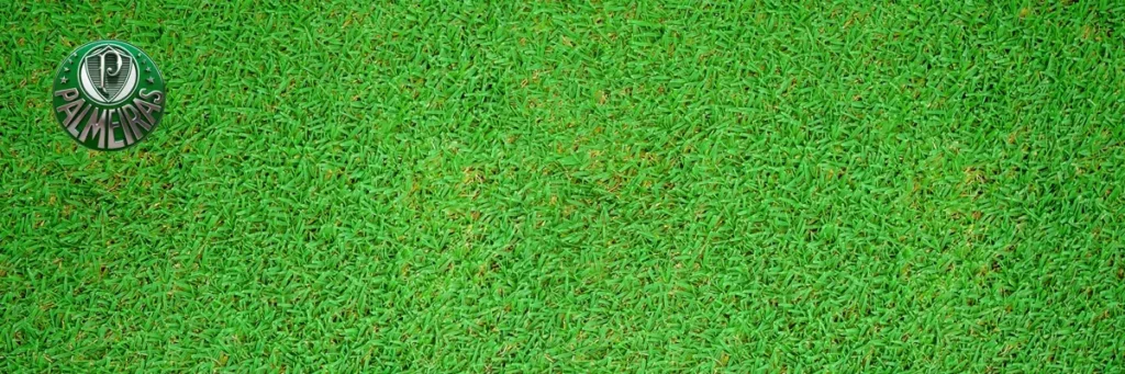 Seja aniversário, Dia dos Pais, Natal ou qualquer ocasião especial